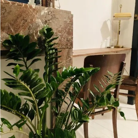Suikernest Apartamento